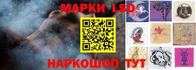 apvp Нальчик