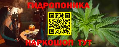 apvp Нальчик