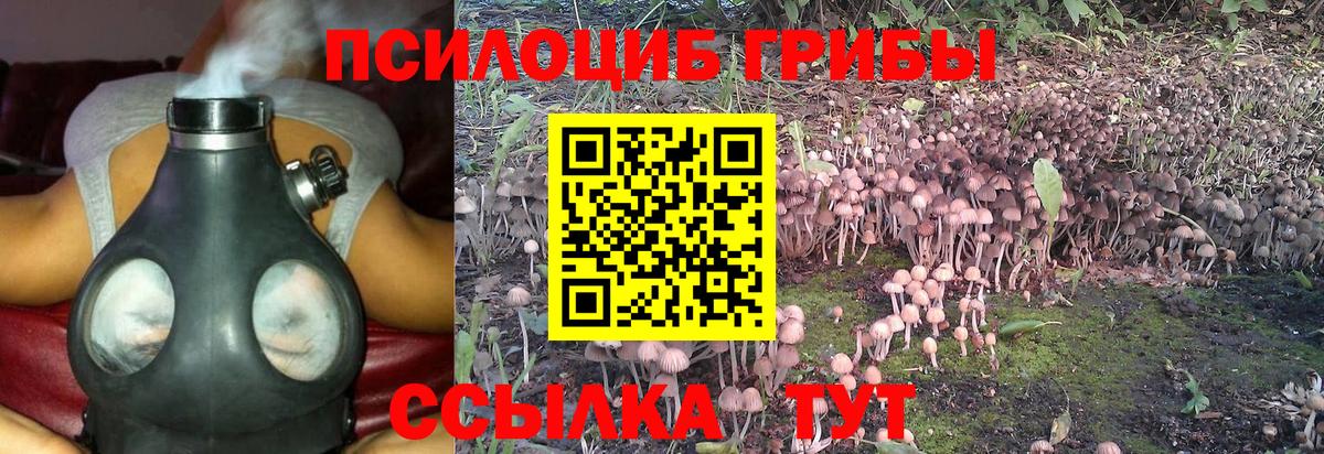 Псилоцибиновые грибы прущие грибы Долгопрудный
