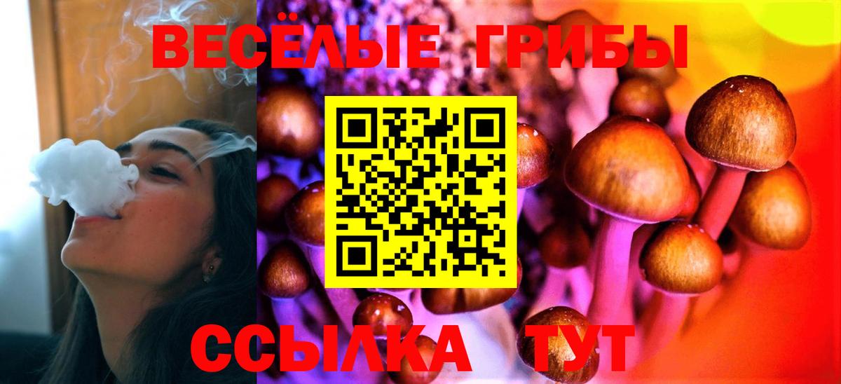 Долгопрудный  Псилоцибиновые грибы MAGIC MUSHROOMS  Вход с VPN 